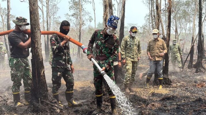 Kebakaran Hutan Way Kambas Belum Terkendali, Sekitar 40 Hektare Lahan Masih Terbakar